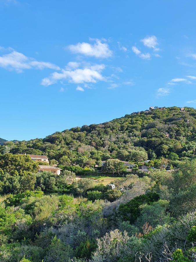 Bel Appartement Dans Hameau Calme Bonifacio  Kültér fotó