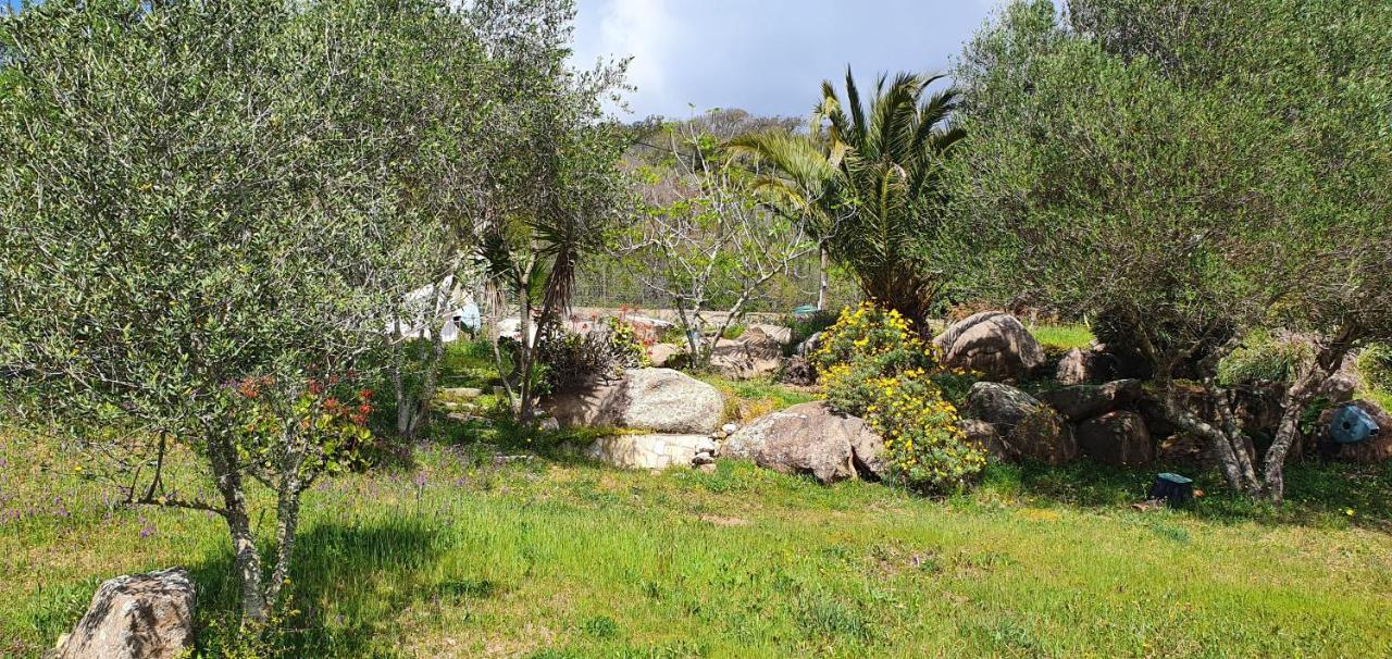 Bel Appartement Dans Hameau Calme Bonifacio  Kültér fotó